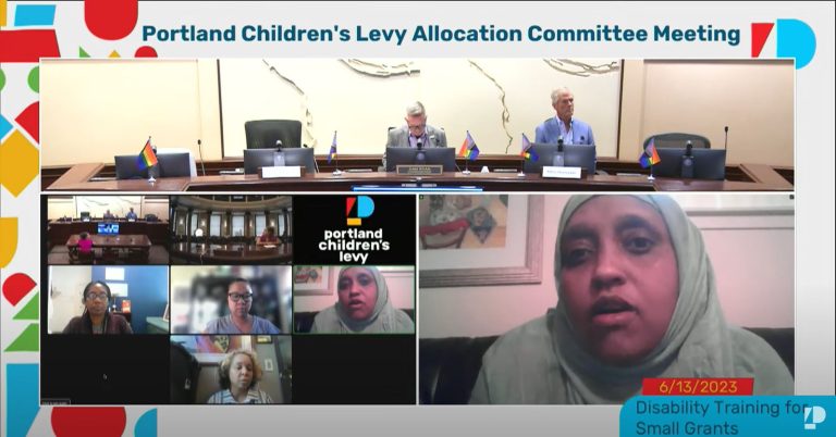 Screengrab from 6/13/2023 allocation committee meeting discussing disability training for small grants