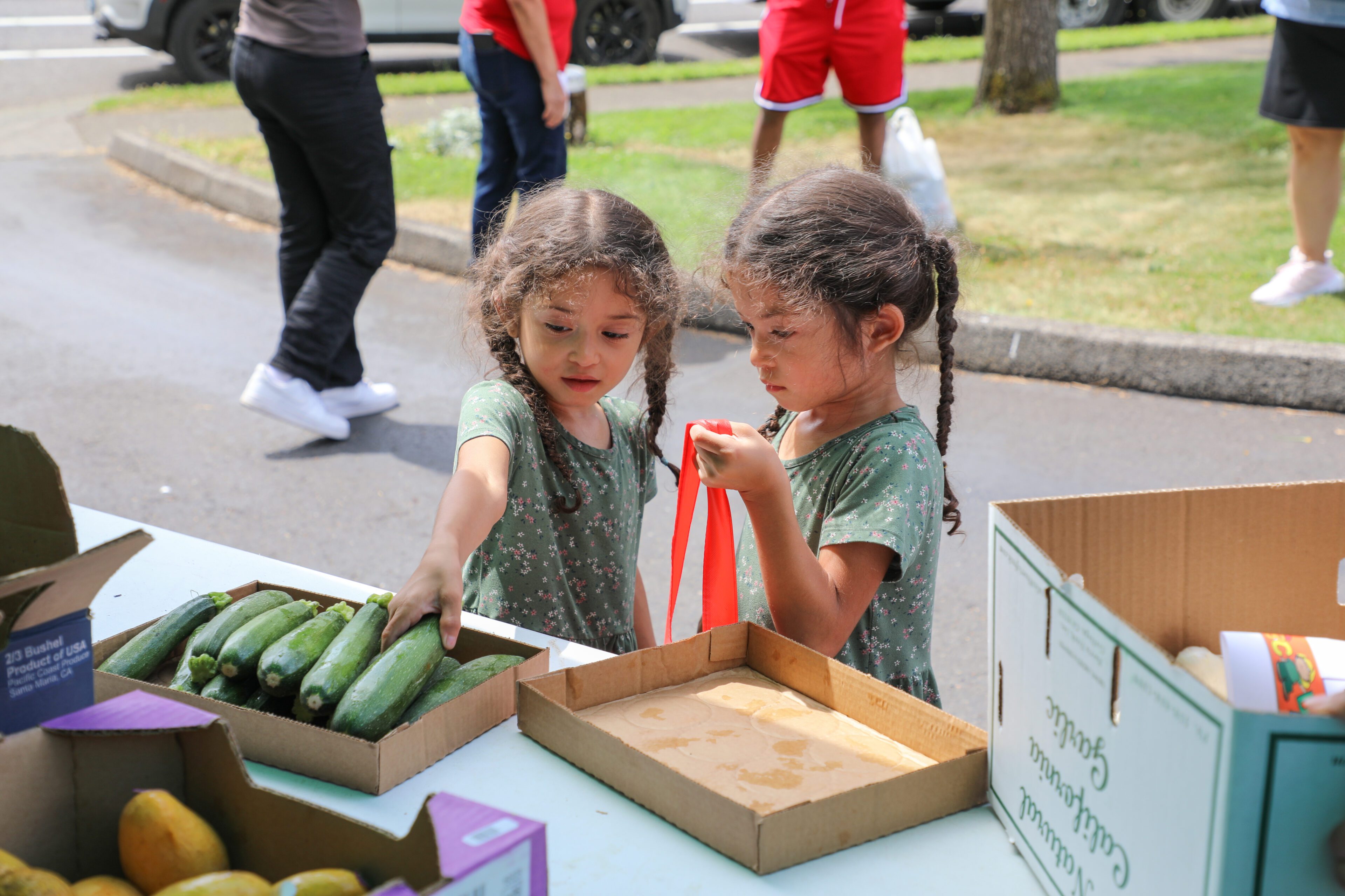 Photo of twin girls in front of a table of produce at the MFS food pantry at Parklane Elementary School. Both girls are wearing green dresses, with their brown hair in braided pigtails. The girl on the left reaches for zucchinis in a box on the table in front of them to place into the bag held by her twin on the right.